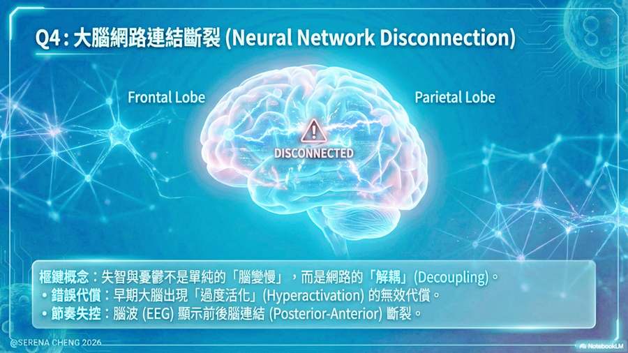 Brain Network Disconnection